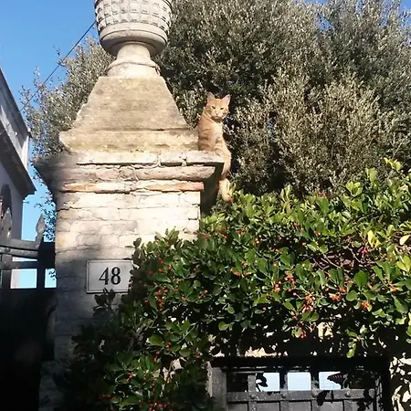 D'ago48 B&B 안코나