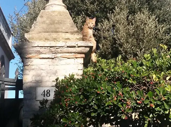 D'ago48 Bed & Breakfast Ancona